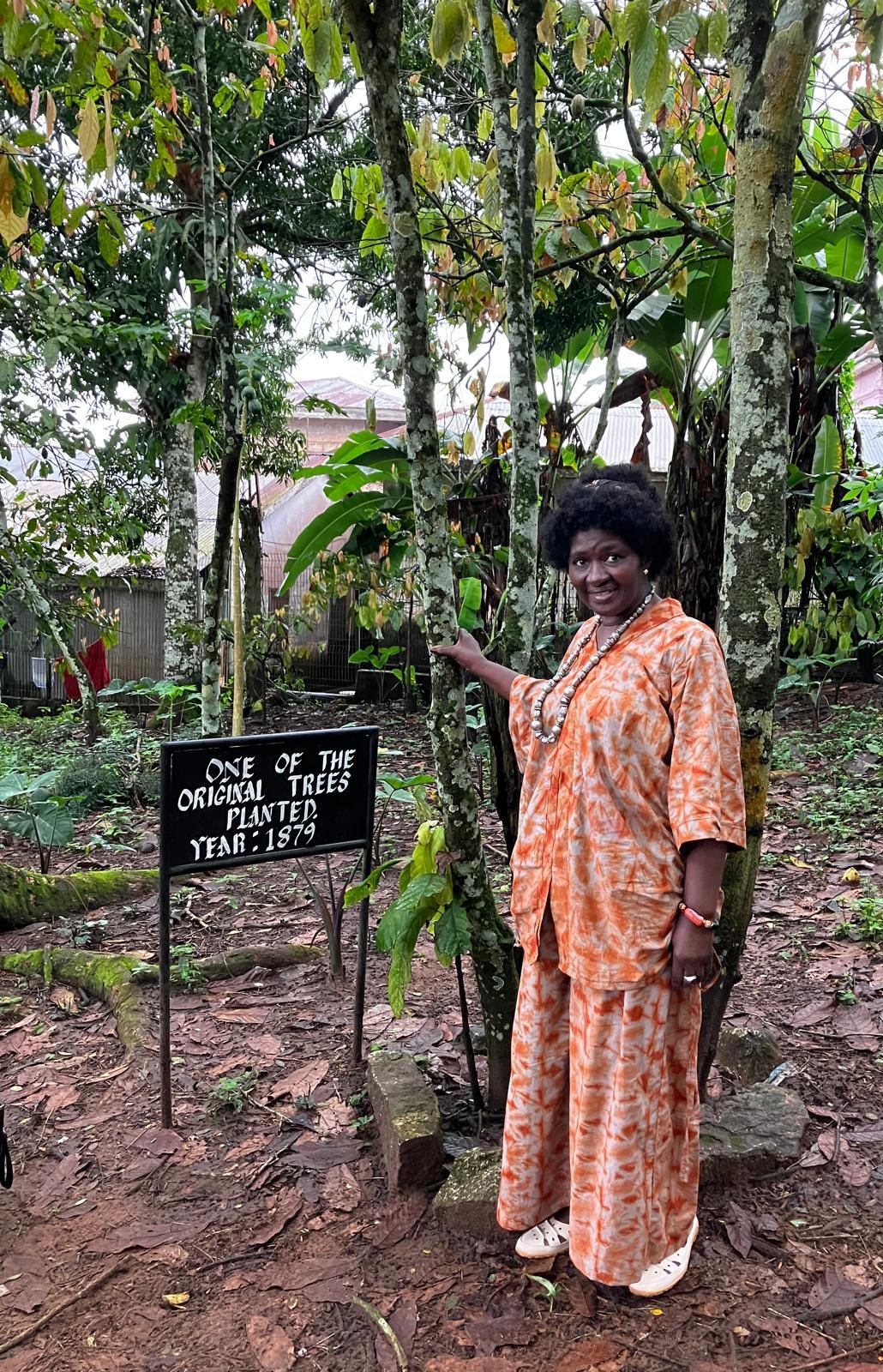 A visitor beside one of the original trees planted in 1879 at Mampong Cocoa Farm