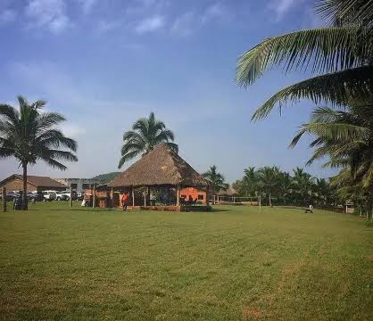 A thatched-roof pavilion set in palm-lined grounds