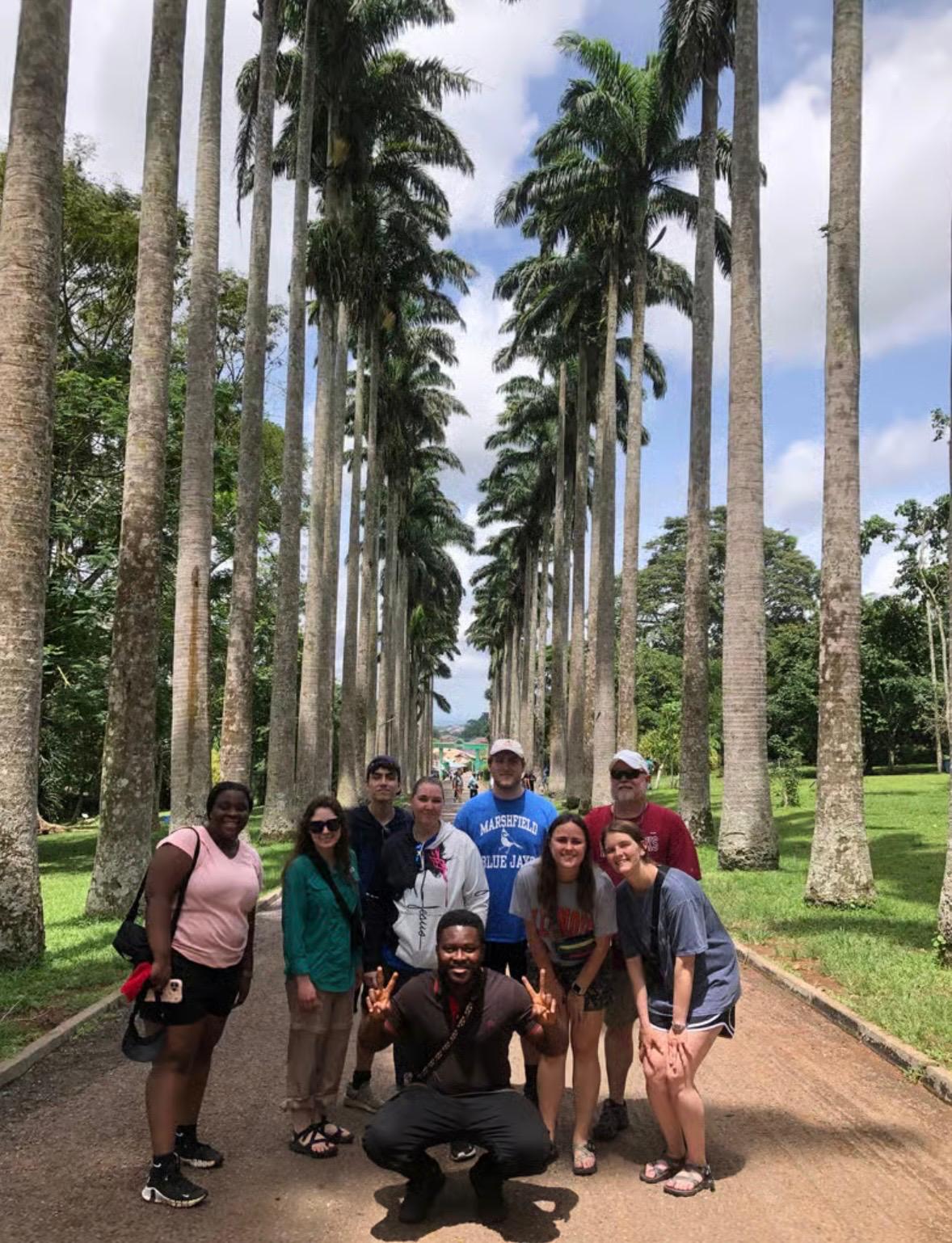 An avenue of royal palms lining the road up to Aburi