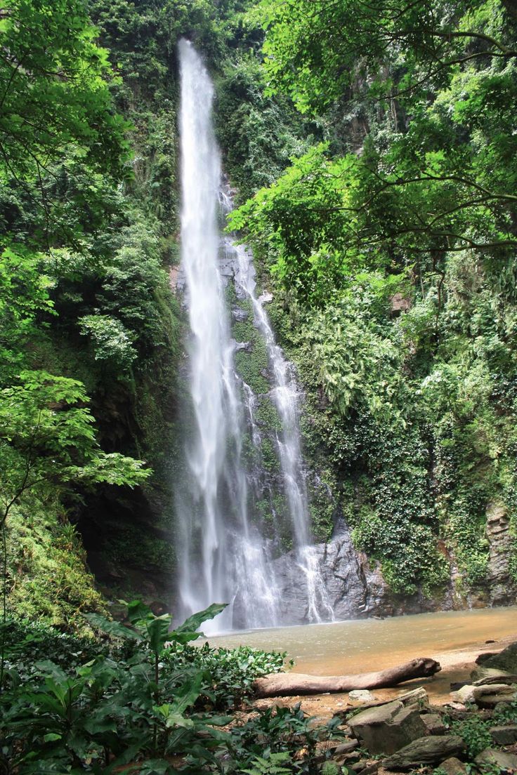 Afadjato waterfall cascading through lush rainforest