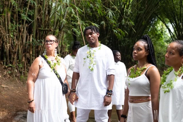 Festival attendees in white amid bamboo grove