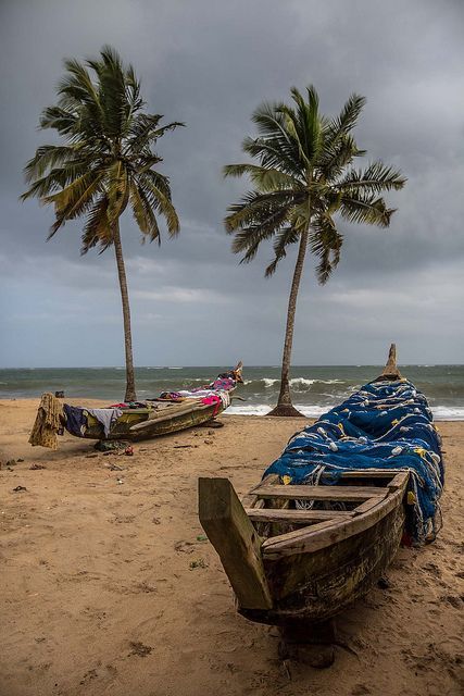 Boats and palms on the beach