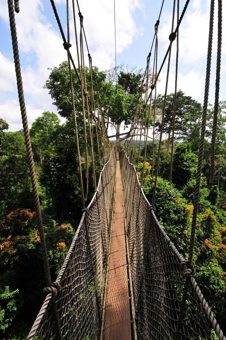 Kakum canopy walkway