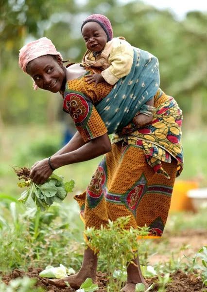 Mother harvesting greens with her baby on her back