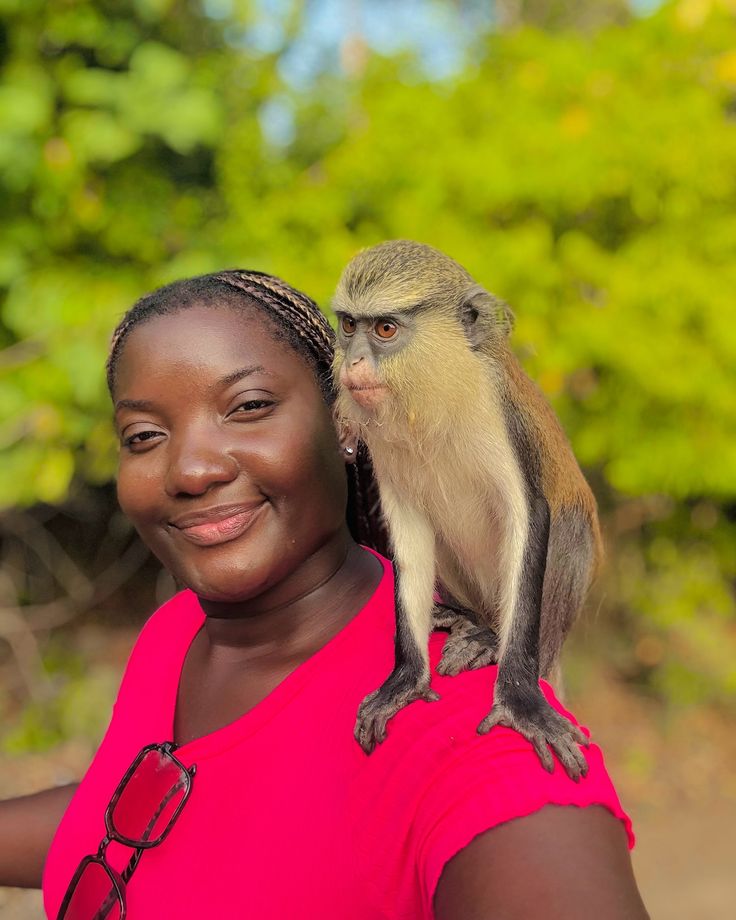 Tafi Monkey Sanctuary & Tagbo Falls